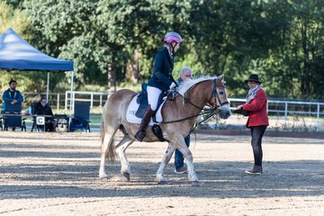 Bild 53 - Pony Akademie Turnier